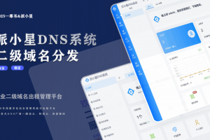 2025派小星DNS二级域名分发系统