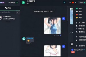 最新公共聊天室系统源码 ChatNet V1.11-V1.9 完整汉化版源码  私人聊天程序