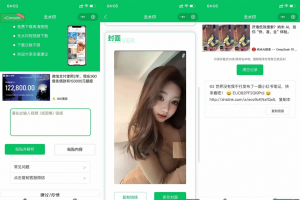 2025全平台视频去水印小程序源码纯前端无须后端含安装教程