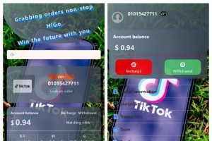 新版本海外tiktok多语言抢单系统源码/带文本搭建教程