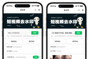 2025最新去水印小程序，免服务器，带流量主和安装教程