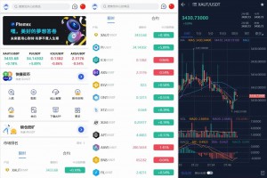 Phemex多语言交易所源码/期权交易+合约交易+新币申购+锁仓挖矿+平台币发行+K线行情控制/前端uniapp编译后+后端PHP