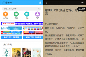 价值1500元的狂雨小说二开版，爱看小说网2W本全站打包源码