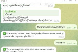 Telegram AI全自动翻译客服机器人源码/带视频搭建教程
