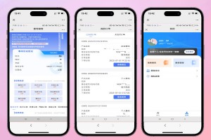 PHP精准查全国个人企业司法涉诉涉案背调查询全开源源码