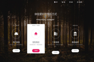 PHP域名授权系统网站 精美UI支付系统团队合作代理返利发卡系统 授权授权管理工单系统