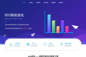 seo快排网站模板 大气的IT网络软件公司网站源码