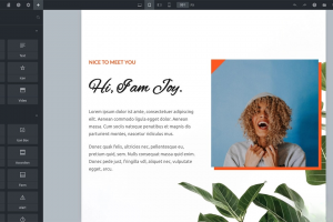 WordPress主题Bricks v1.9 破解版