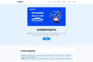 两款大气的企业级数字权益官网源码