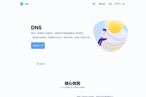 迅风DNS Pro二级域名分发V2.3.3系统源码