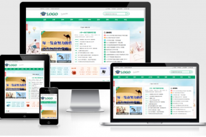帝国CMS作文网题目文学文章 PHP网站源码wap+pc自适应响应式模板