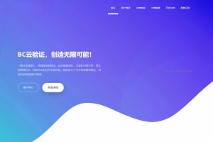 网络验证系统BC云验证整站数据网站源码