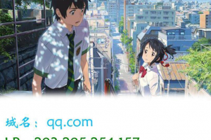 图片版Ping接口源码