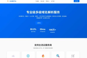 DNS多级域名分发系统