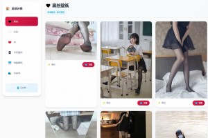 【免费源码】老司机壁纸源码 2.0 修复版 布局优化 + BUG 修复 可直接搭建运营