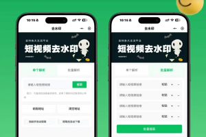2026最新去水印小程序源码 v1.6.5 带流量主